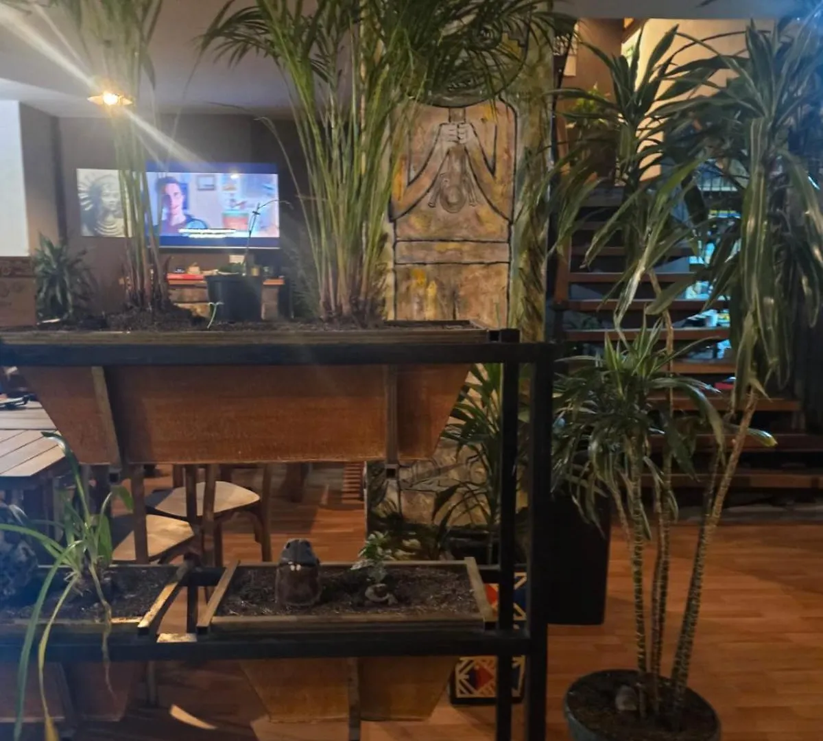 Hostel Portelli Hostal Zona G- Para Extranjeros Bogota